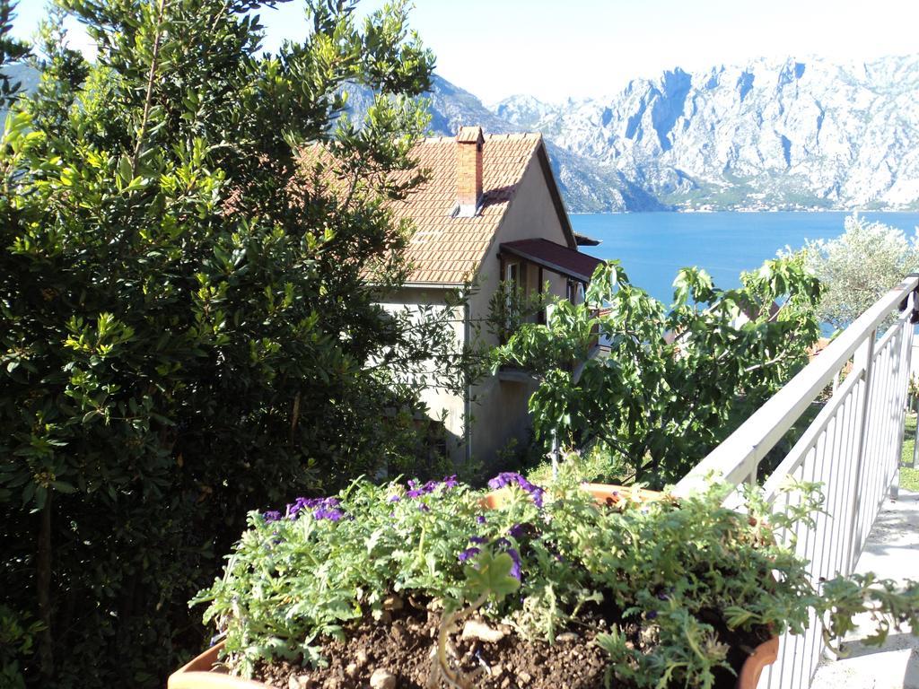 Guest House Pajovic Kotor Buitenkant foto