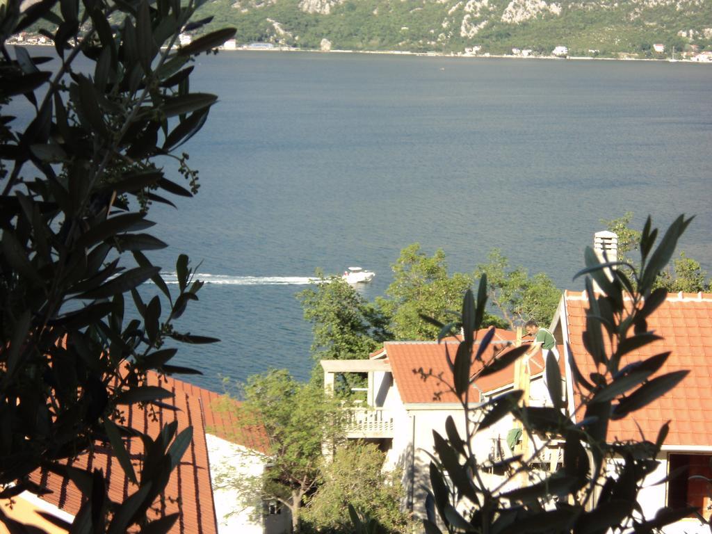Guest House Pajovic Kotor Buitenkant foto