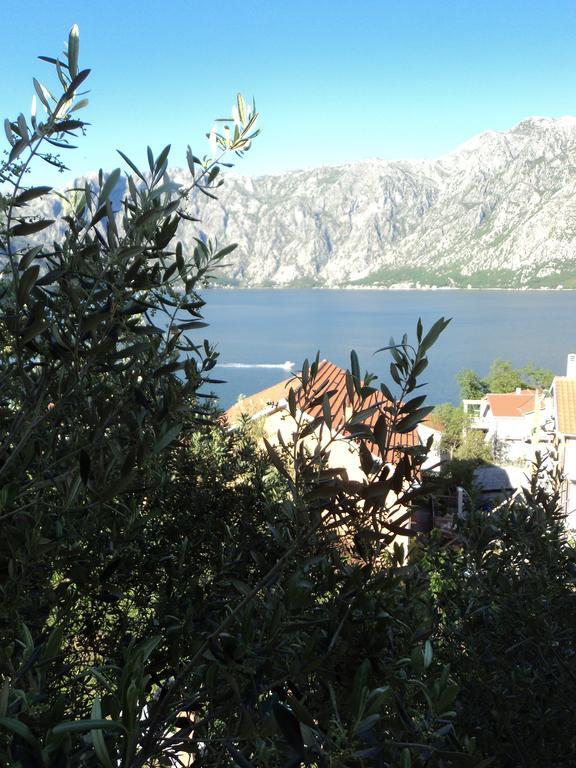 Guest House Pajovic Kotor Buitenkant foto
